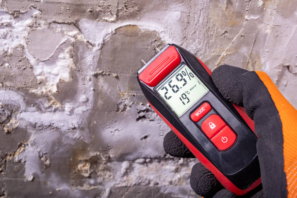 Best Mold Testing  in Enochville, NC