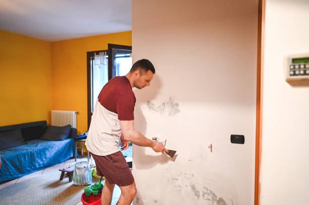 Best Professional Mold Removal  in Enochville, NC